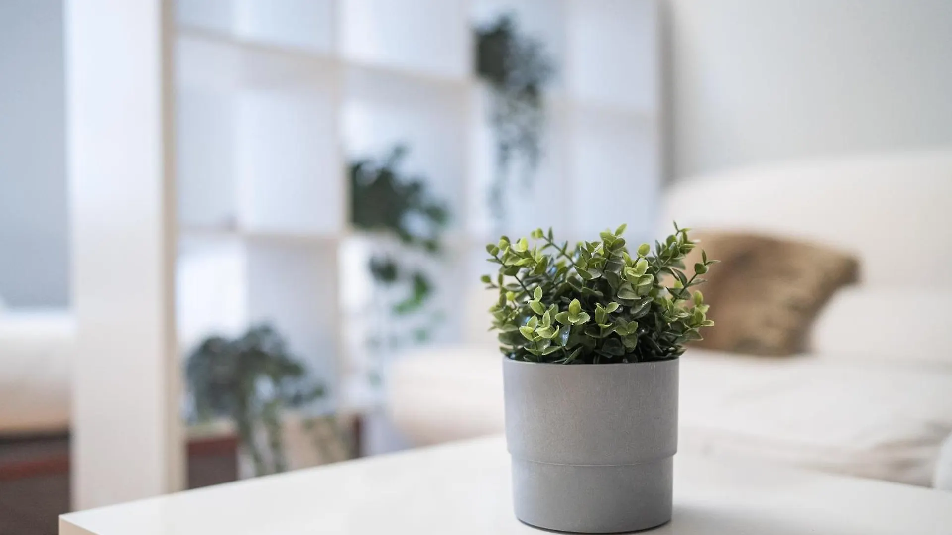 Bramante Luxury Apartments By Innstay Milan